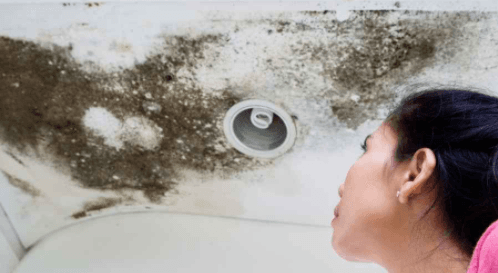 Is it healthy to live with mold?