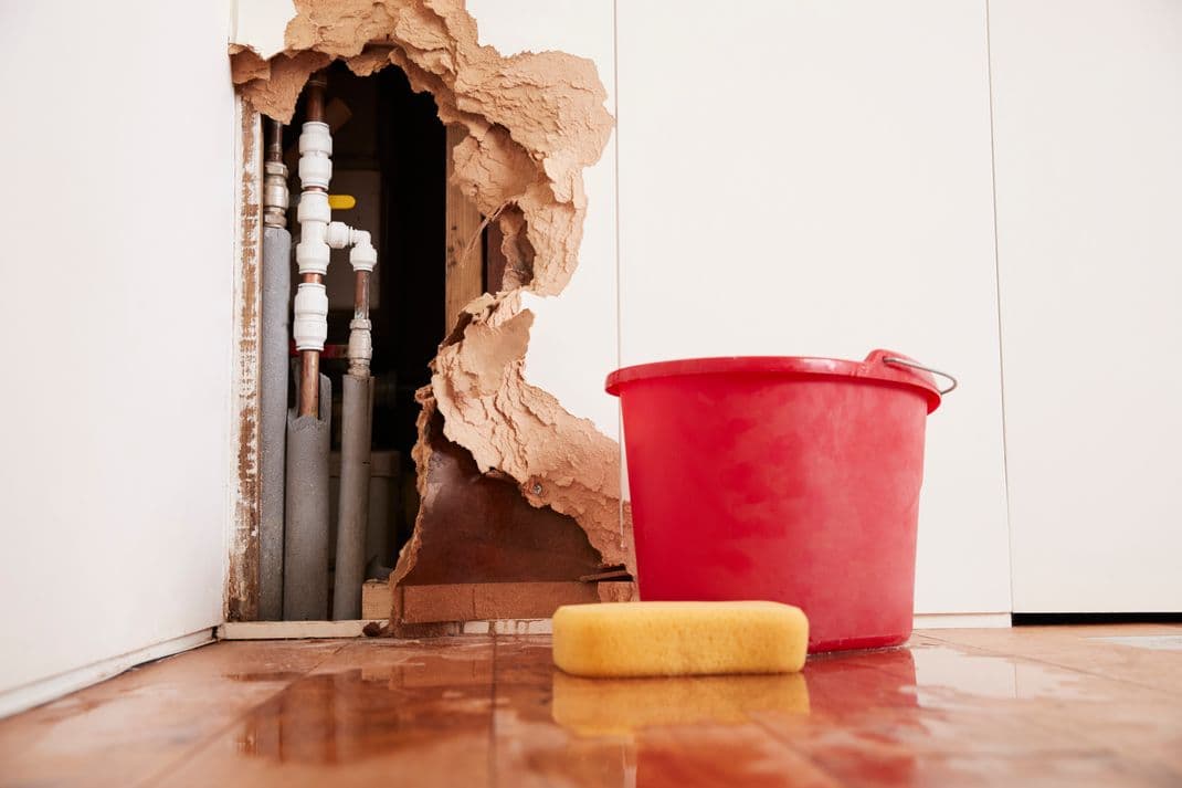 Prevent Water Damage in Basement and Crawlspace
