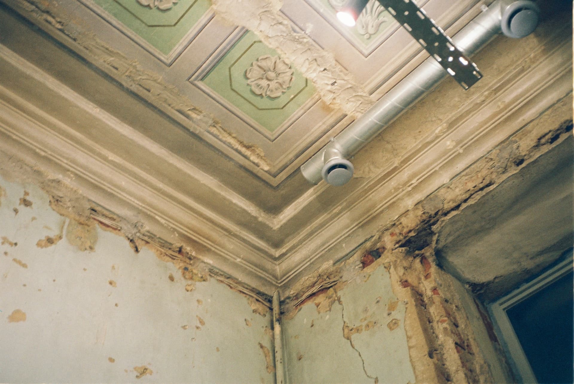 5 Signs to Get a Professional Mold Air Quality Test