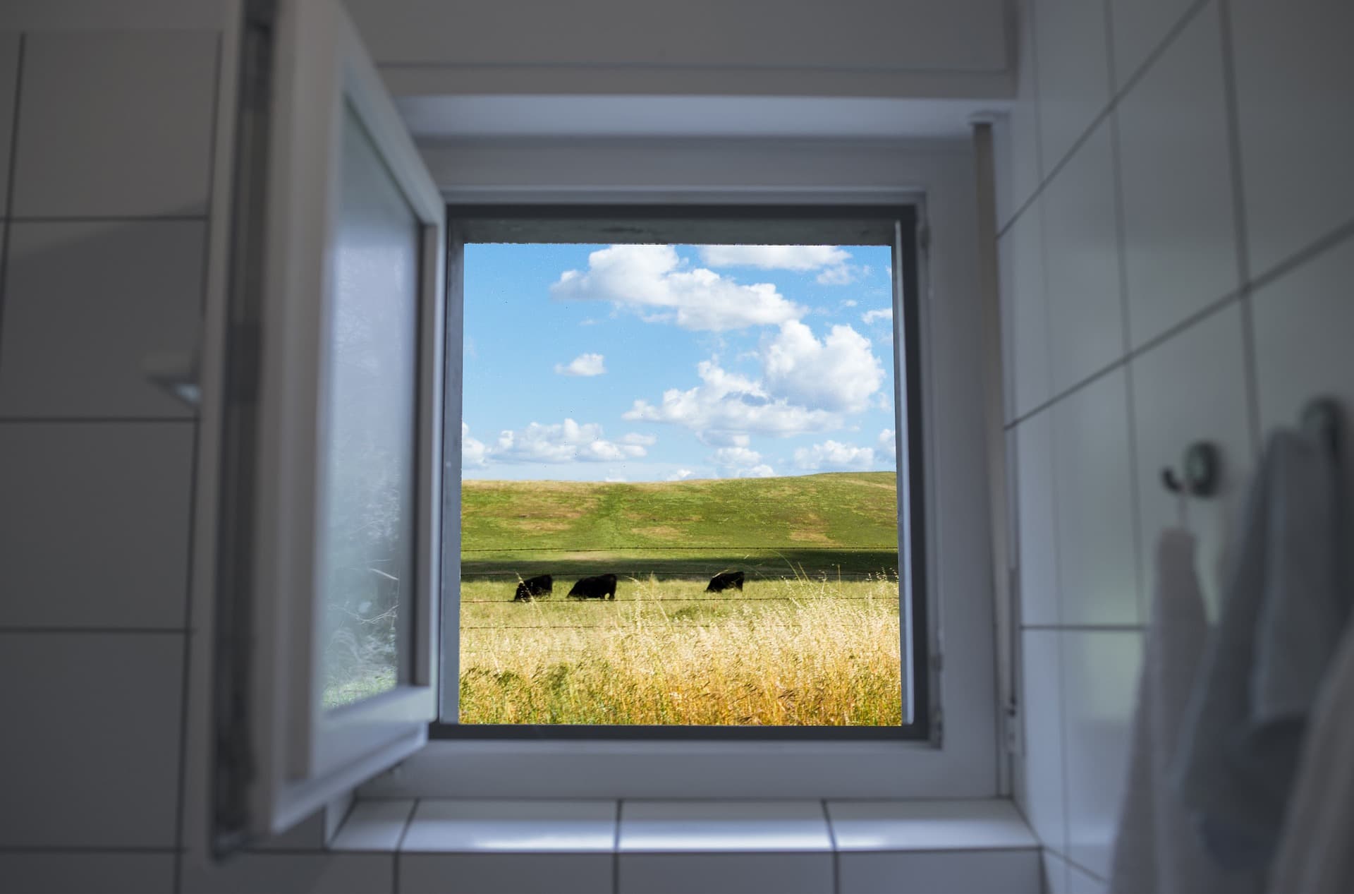 8 ways to prevent mold growing in your home
